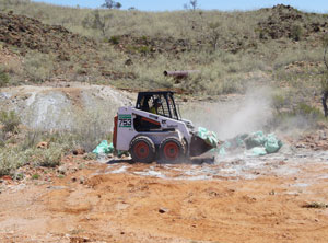 bobcat1.jpg