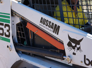 bobcatDecal.jpg