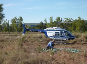 xrfHeli.jpg